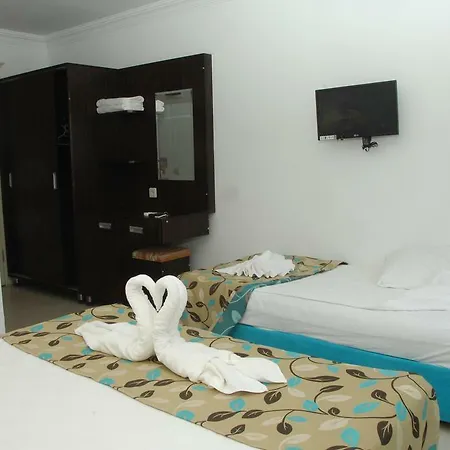 Orient 3*